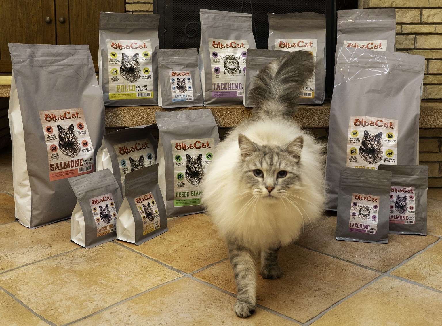 Alimentazione per gatti